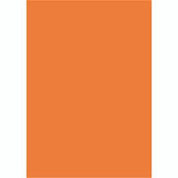 flying colours cover board 160gsm a4 orange pack 200