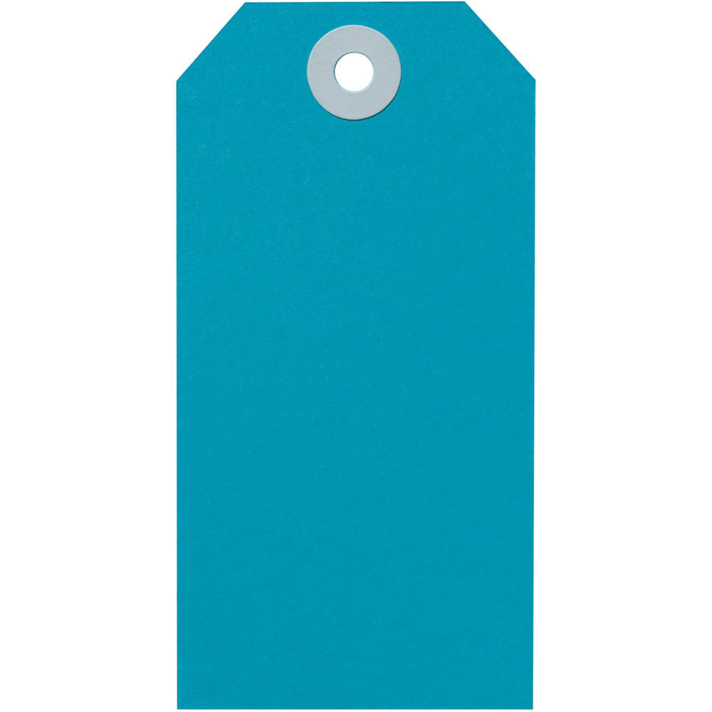 Image for AVERY 14120 SHIPPING TAG SIZE 4 108 X 54MM BLUE BOX 1000 from Barkers Rubber Stamps & Office Products Depot