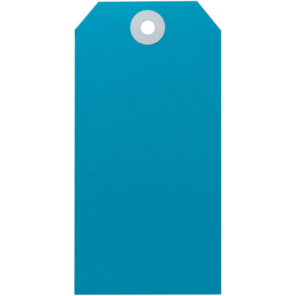 Image for AVERY 15120 SHIPPING TAG SIZE 5 120 X 60MM BLUE BOX 1000 from Office Products Depot