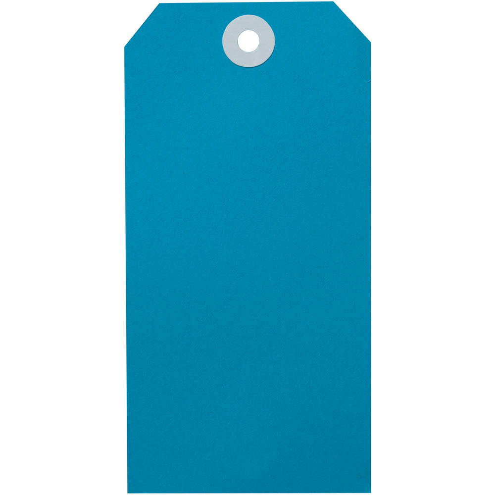 Image for AVERY 16120 SHIPPING TAG SIZE 6 134 X 67MM BLUE BOX 1000 from Ross Office Supplies Office Products Depot
