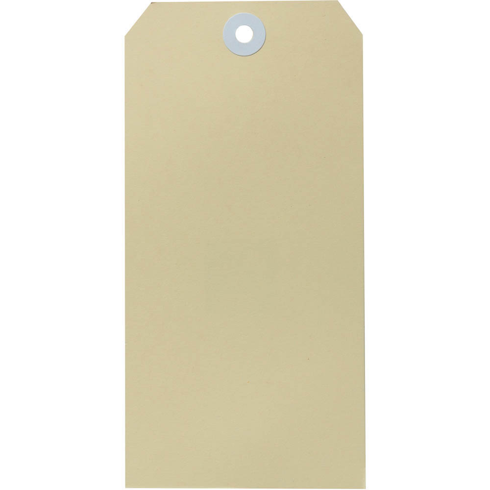 Image for AVERY 18000 SHIPPING TAG SIZE 8 160 X 80MM BUFF BOX 1000 from Ross Office Supplies Office Products Depot