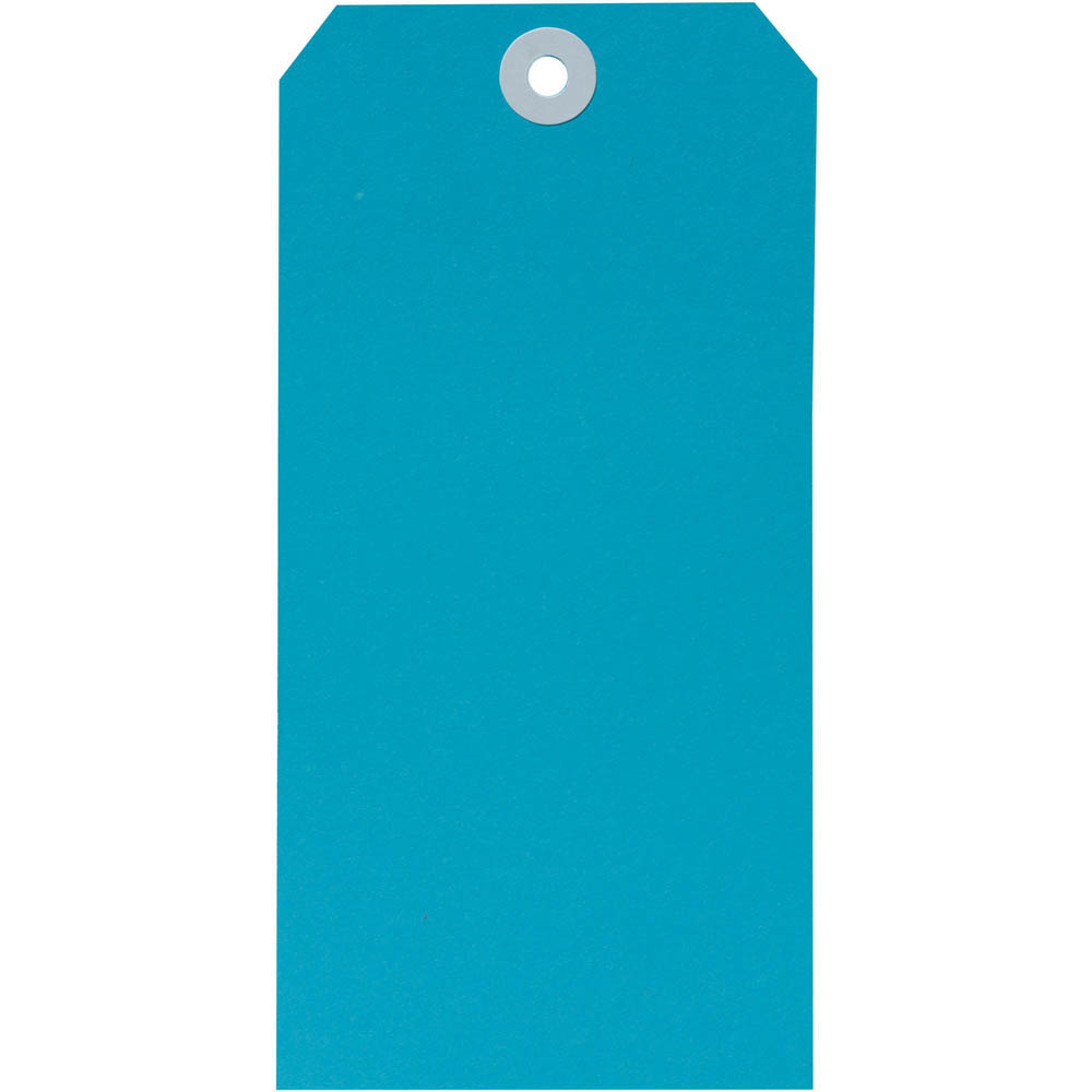 Image for AVERY 18120 SHIPPING TAG SIZE 8 160 X 80MM BLUE BOX 1000 from Ross Office Supplies Office Products Depot