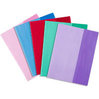 contact book sleeves a4 assorted pack 25