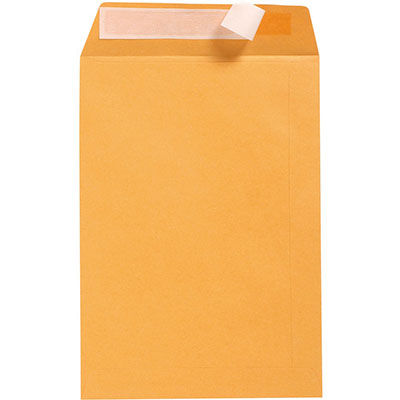 Image for CUMBERLAND DL ENVELOPES POCKET PLAINFACE STRIP SEAL 85GSM 110 X 220MM GOLD BOX 500 from Total Supplies Pty Ltd