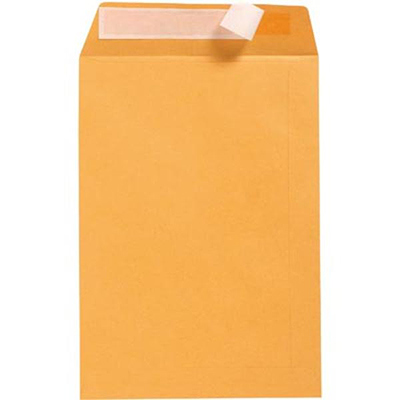 Image for CUMBERLAND C4 ENVELOPES POCKET PLAINFACE STRIP SEAL 100GSM 324 X 229MM GOLD BOX 250 from Albany Office Products Depot