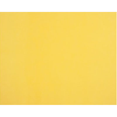 Image for QUILL BOARD 210GSM 510 X 635MM LEMON from Albany Office Products Depot