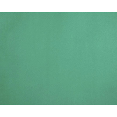 Image for QUILL BOARD 210GSM 510 X 635MM GREEN from Office Products Depot