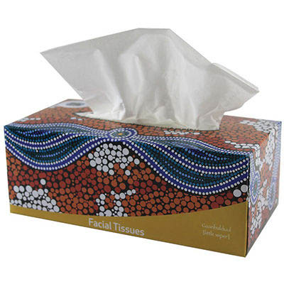Image for CULTURAL CHOICE FACIAL TISSUES 2-PLY 200 SHEET from Office Products Depot Gold Coast