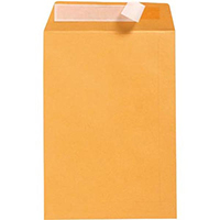 initiative c4 envelopes pocket plainface strip seal 80gsm 324 x 229mm gold box 250