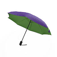 Image for JUMBLE AND CO UPS AND DOWNS UMBRELLA AUTOMATIC GREEN from Barkers Rubber Stamps & Office Products Depot