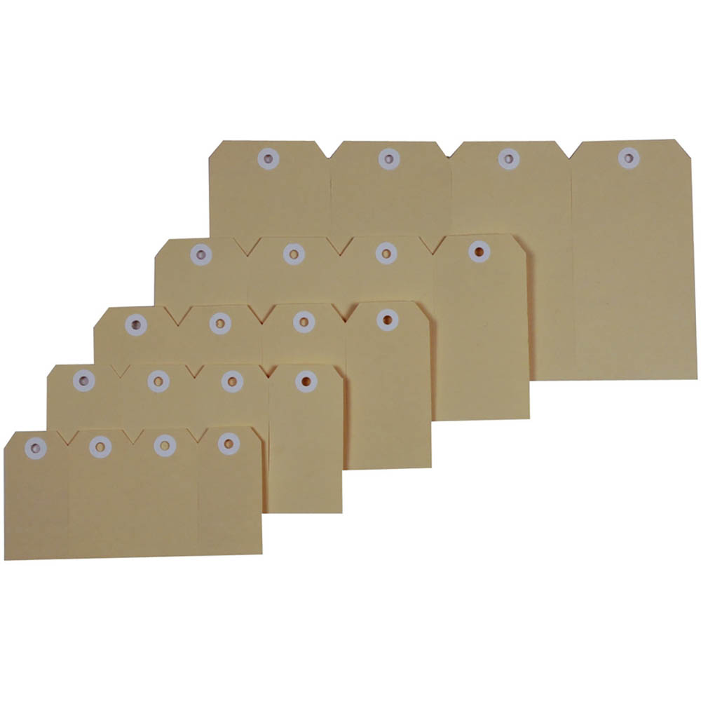 Image for ESSELTE SHIPPING TAGS SIZE 1 35 X 70MM BUFF BOX 1000 from Total Supplies Pty Ltd