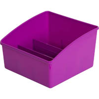 elizabeth richards literacy tub purple