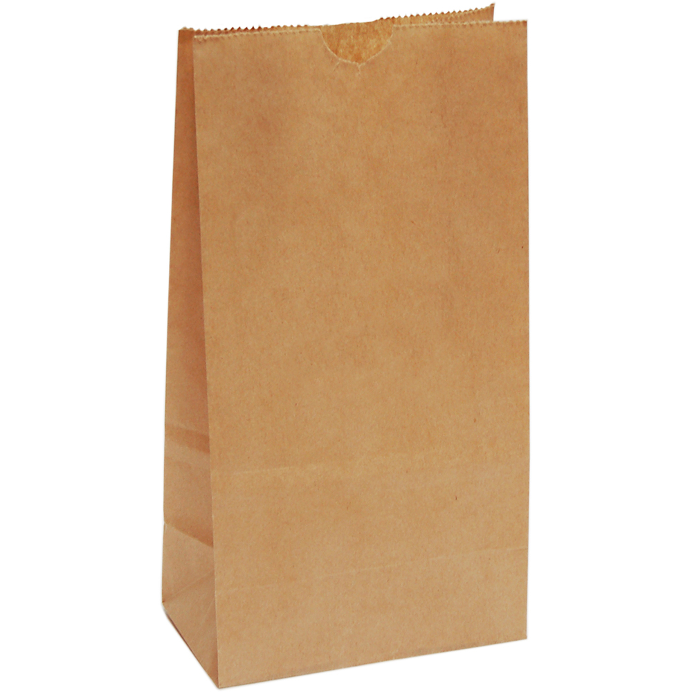 Image for CAPRI PAPER BAG SELF-OPENING SIZE 4 BROWN PACK 2000 from Office Products Depot