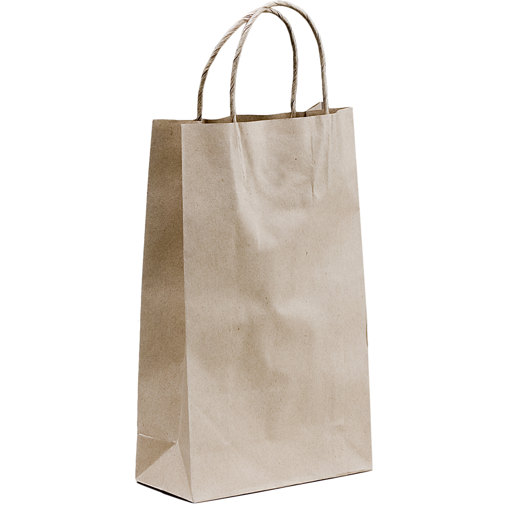 Image for HUHTAMAKI FUTURE FRIENDLY PAPER BAG TWISTED HANDLE 265 X 160MM BROWN PACK 50 from Ross Office Supplies Office Products Depot