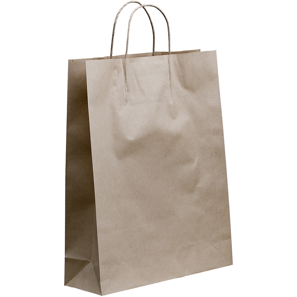 Image for HUHTAMAKI FUTURE FRIENDLY PAPER BAG TWISTED HANDLE 420 X 320MM BROWN PACK 50 from Total Supplies Pty Ltd