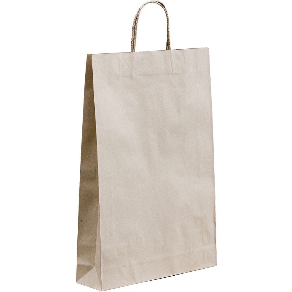 Image for HUHTAMAKI FUTURE FRIENDLY PAPER BAG TWISTED HANDLE 480 X 340MM BROWN PACK 50 from Barkers Rubber Stamps & Office Products Depot