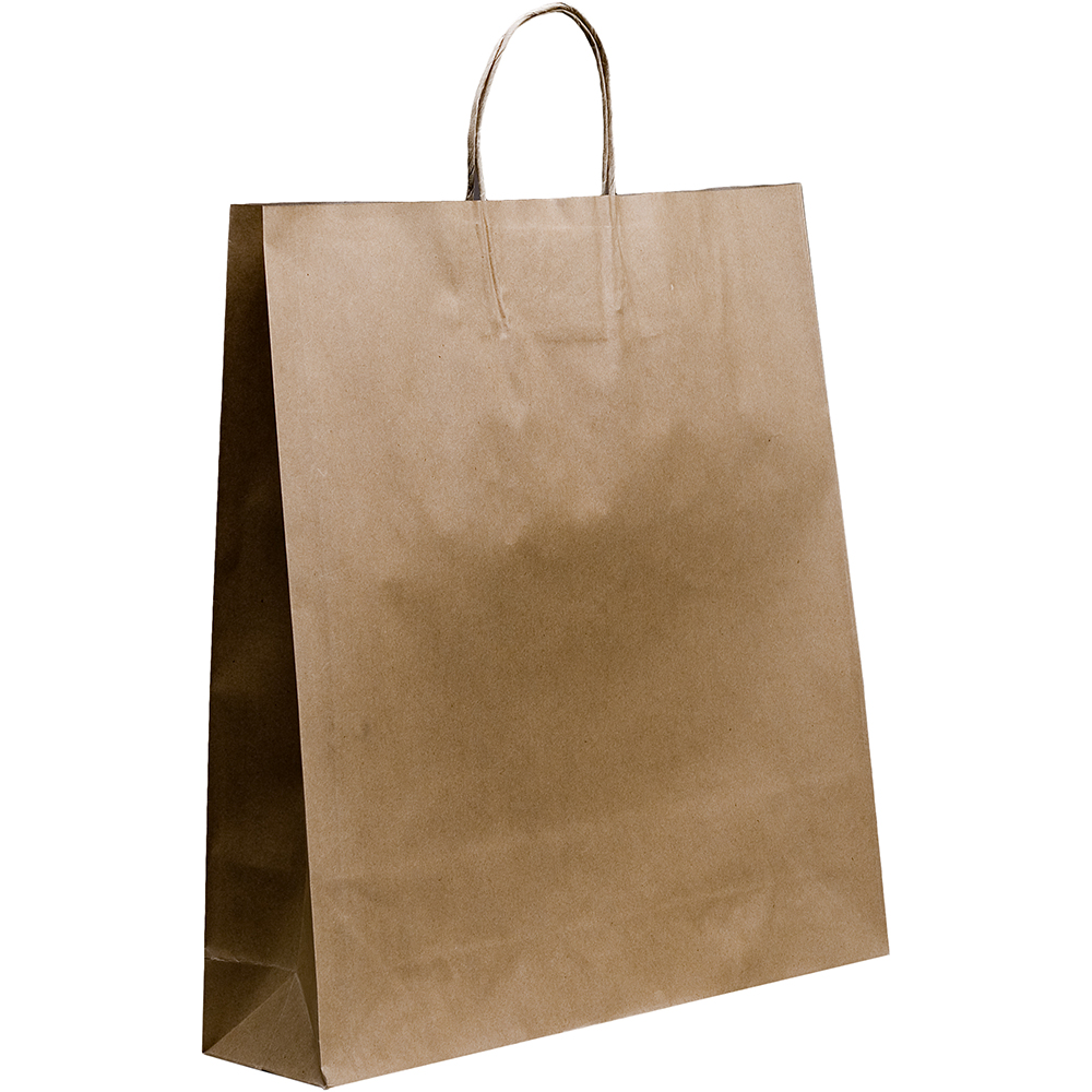 Image for HUHTAMAKI FUTURE FRIENDLY PAPER BAG TWISTED HANDLE 500 X 450MM BROWN PACK 50 from Margaret River Office Products Depot