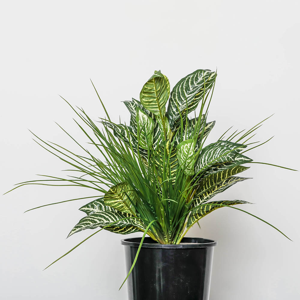 Image for PLANT IMAGE ZEBRA MIX TAMBOUR POT from Total Supplies Pty Ltd