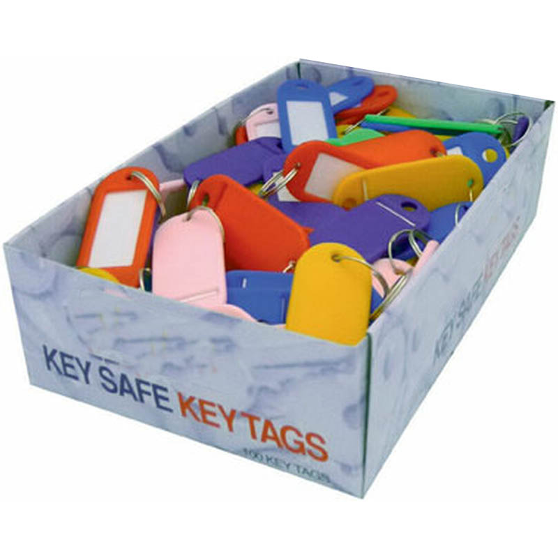 ESSELTE KEY TAGS ASSORTED BOX 100 | Premier Stationers Office Products Depot
