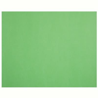 Image for QUILL XL MULTIBOARD 210GSM 510 X 635MM LIME from Total Supplies Pty Ltd