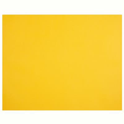 Image for QUILL XL MULTIBOARD 210GSM 510 X 635MM SUNSHINE from Albany Office Products Depot