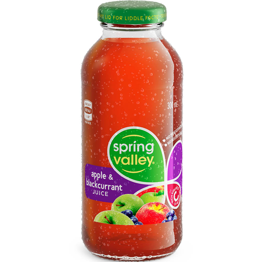 Image for SPRING VALLEY APPLE AND BLACKCURRANT JUICE GLASS 300ML CARTON 24 from Office Products Depot