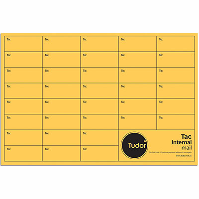 Image for TUDOR ENVELOPES INTEROFFICE POCKET TAC SEAL 100GSM 380 X 255MM GOLD BOX 250 from Total Supplies Pty Ltd