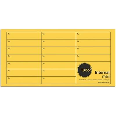 Image for TUDOR DL ENVELOPES INTEROFFICE POCKET UNGUMMED 80GSM 110 X 220MM GOLD BOX 500 from Albany Office Products Depot