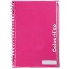 colourhide my clear case notebook a4 120 page assorted