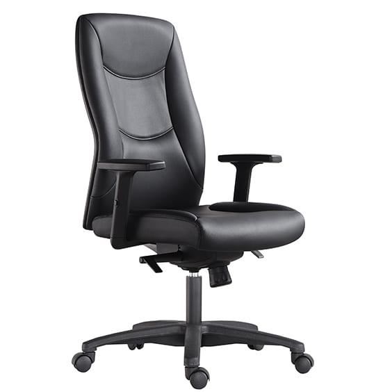 Image for Ergonomic Hilton Executive Office Chair from Office Products Depot Gold Coast