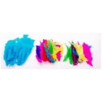 jasart feathers small assorted pack 50