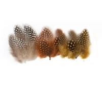 guinea fowl feathers 10g natural