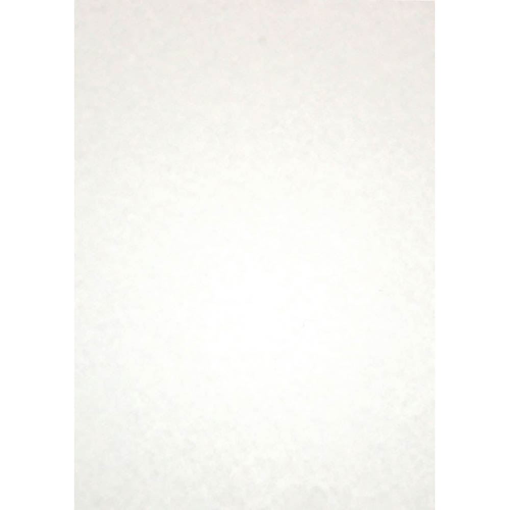 Image for RAINBOW PARCHMENT PAPER A4 90GSM WHITE PACK 25 from MOE Office Products Depot Mackay & Whitsundays